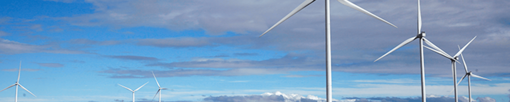 Windmills in a field